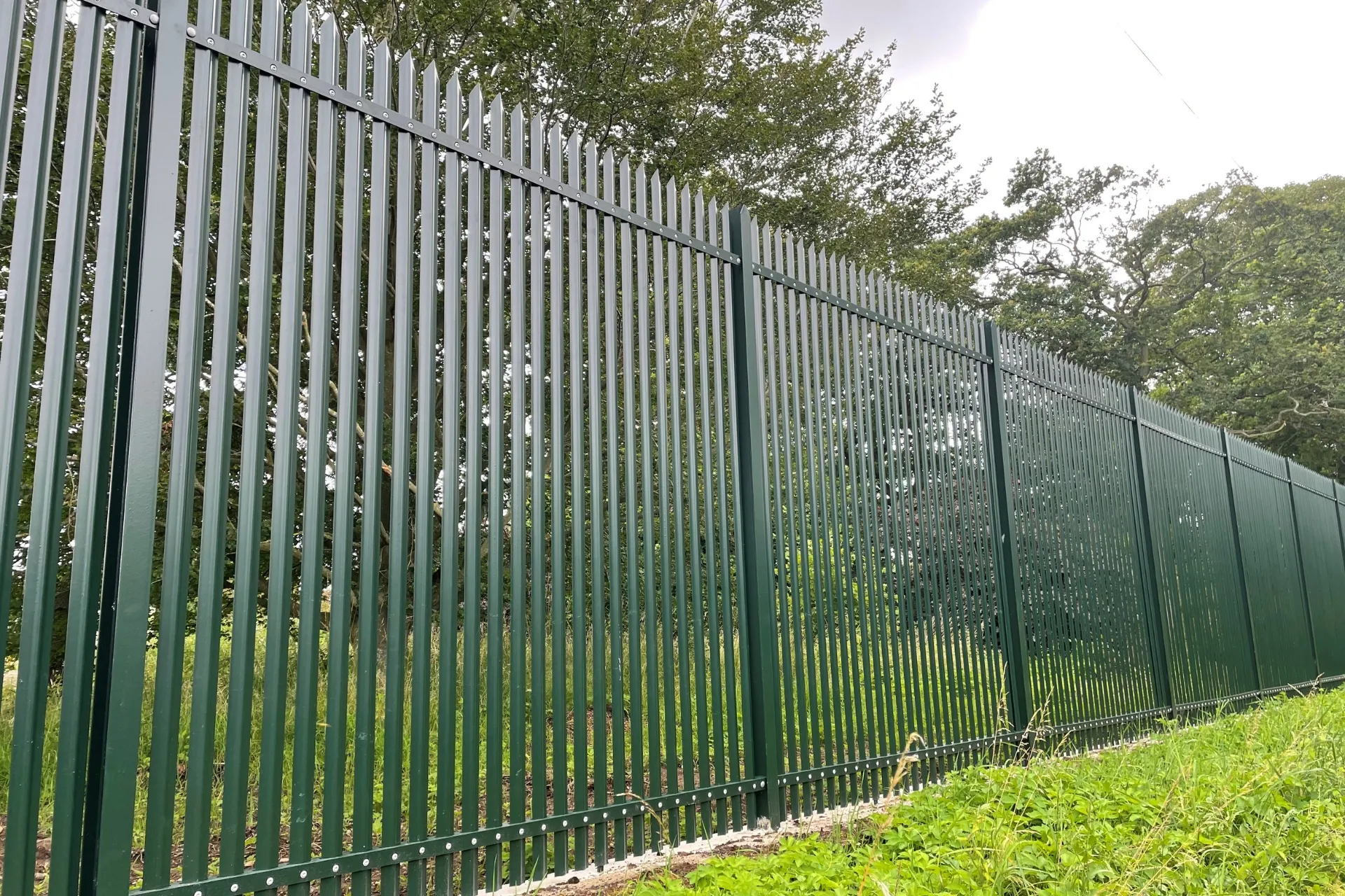 CANFEN COMBI B3 (SR2) — source product image